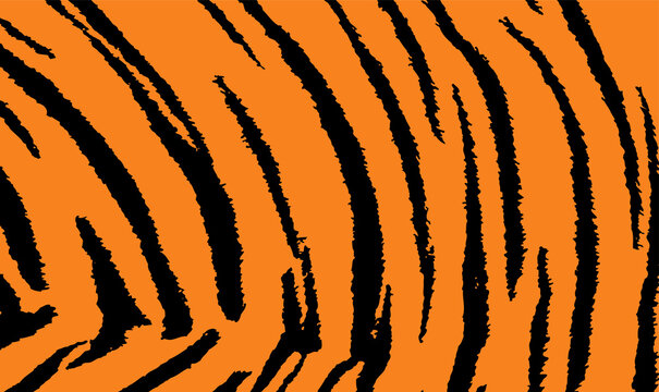 Pattern texture tiger orange stripe repeated seamless black jungle safari. Tiger stripe tiling pattern. Animal skin, tiger stripes, pattern, line background, print, fabric. Amazing hand draw. Vector