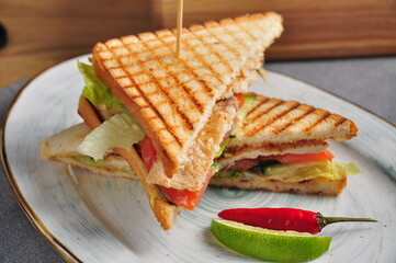 toasted sandwich with chicken fillet and vegetables