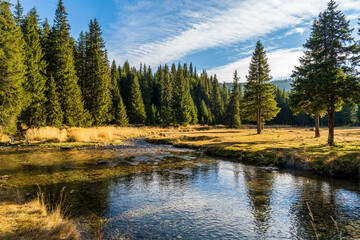 Mountain landscape in summer season with a clear crystalline river flowing smoothly past a green coniferous forest with tall fir trees on a sunny day with scattered clouds. © Gabriel