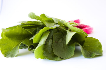 Bunch of radishes with leaves facing camera, isolated on white background