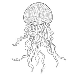 Doodle jellyfish with simple patterns on a white isolated background. For coloring book pages. Marine cute illustration.