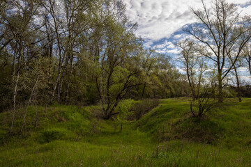 Spring and the sun is a wonderful day