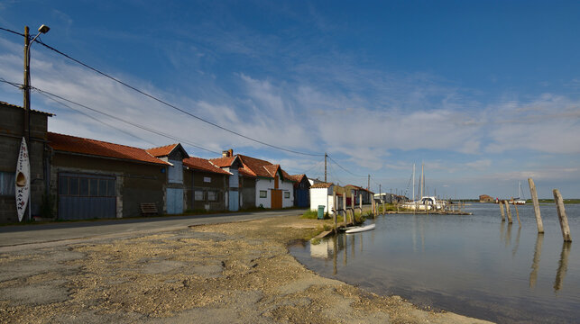 Petit port de Chaillevette. 