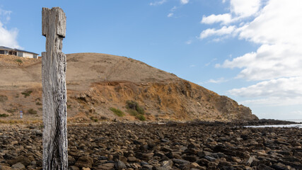 A close up of a jetty post from the myponga jetty ruins with the hills selectively blurred on the fleurieu peninsula south australia on may 3rd 2021
