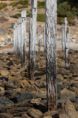The myponga beach jetty ruins on the fleurieu peninsula south australia on may 3rd 2021