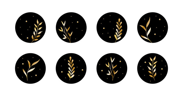 Vector Highlight Story Cover Icons For Social Media. Abstract Black Circle Backgrounds With Golden Leaves For Instagram