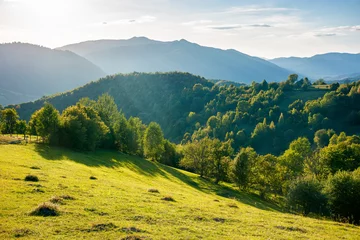 Fotobehang landelijke landschap in de bergen bij zonsondergang. bomen en velden op met gras begroeide glooiende heuvels. prachtig landschap van het landschap van transkarpatië, oekraïne, in avondlicht. heerlijk zonnig weer in de herfst © Pellinni