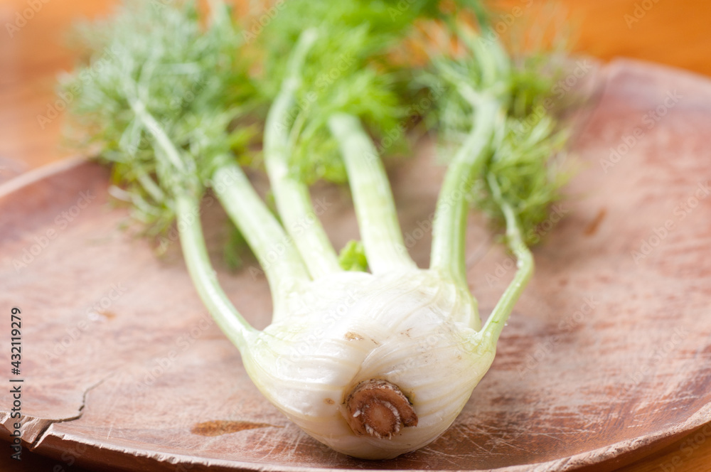 Poster raw fresh organic fennel from a small farm