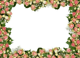 frame of roses beautiful flowers isolated on​ white​ background with clipping path​