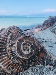 view from the sea