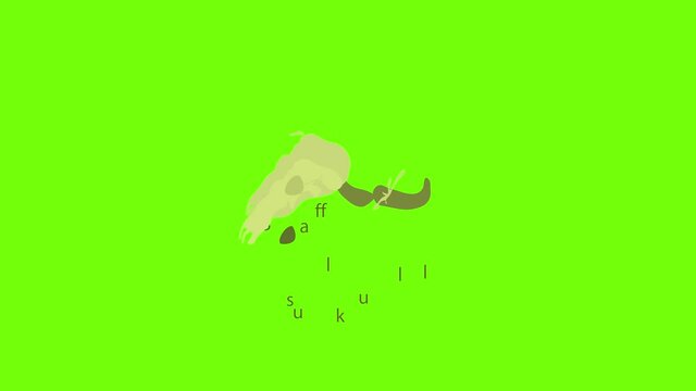 Buffalo skull icon animation cartoon object on green screen background