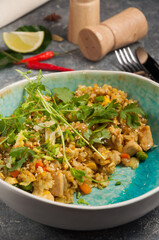 rice with curry and chicken. Asian dish