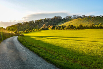 Obraz premium The Road to Bennett End, Buckinghamshire, England.