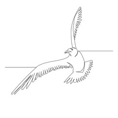 isolated flying bird continuous line drawing