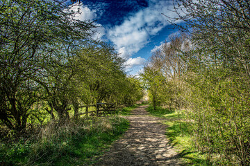 Cowpen Bewley, Nature Reserve