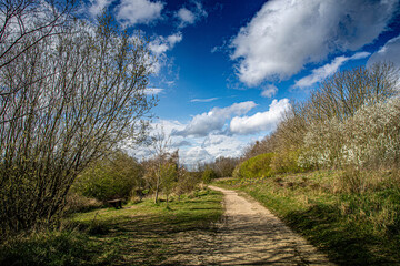 Cowpen Bewley, Nature Reserve
