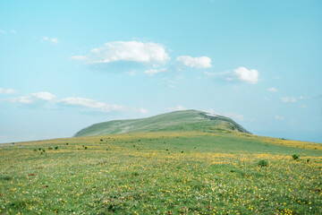 A green hill in his meadow, yellow flowers grow, and white clouds float in the blue sky.