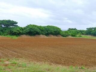 沖縄の農地