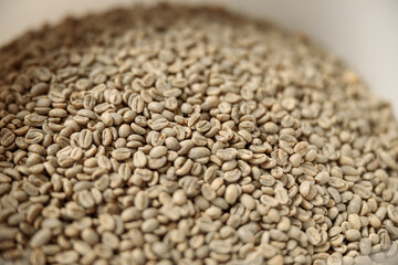 raw coffee testing before roast