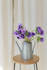 Bouquet of flowers in metal watering can, colored blue anemone.