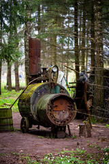 Illegal alcohol production apparatus positioned among the trees in the forest. Photo taken in low light conditions.