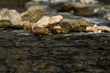  rocky coast of the Pakri Peninsula