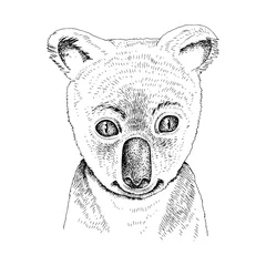 Gordijnen Hand drawn portrait of funny Koala baby © Marina Gorskaya