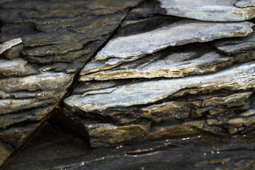  rocky coast of the Pakri Peninsula