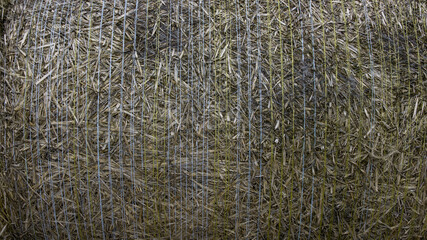 Hay bale wrapped in a net. Rural background.