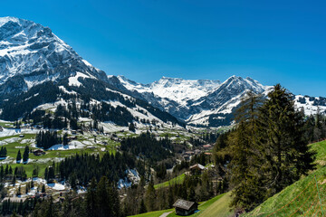 Frühling im Berner Oberland, Adelboden mit Grosser Lohner, Steghorn und Wildstrubel, frisch verschneit, snow from yesterday in spring on the Swiss mountains, illuminated peaks