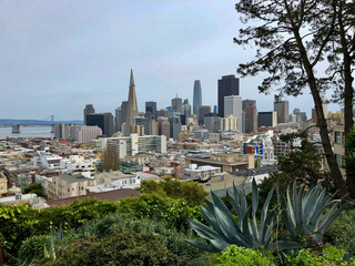 Breathtaking panoramic view over skysraper tower highrise building skyline of downtown San...