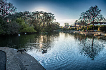 Rossmere Park, Hartlepool