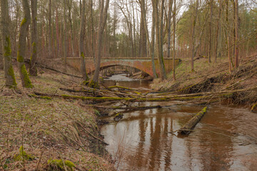 Czerwony, ceglany most nad rzeką płynącą przez las.