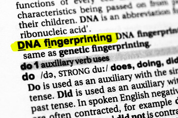 Highlighted word dna fingerprinting concept and meaning