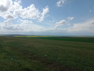 Obraz premium field and blue sky