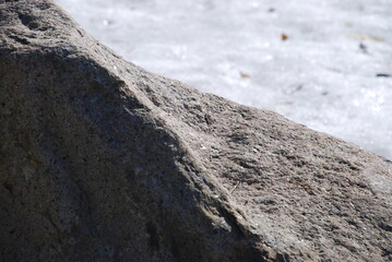 The texture of a semi-circular granite stone. Textured surface of granite stone in different shades of gray and brown. In the background, melting snow on green grass.