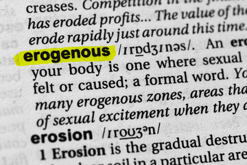 Highlighted word erogenous concept and meaning