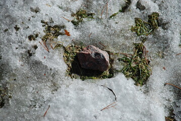 A small granite stone is lying on the ground. An angular granite pebble lies on last year's green...