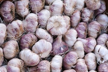 Étal de marché avec de l'ail bio