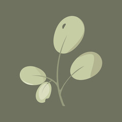 Rhododendron leaves. Vector illustration of a growth on a green background. Picture for design.