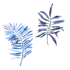 Watercolor tropical leaves in amethyst shade. Palm leaves For design, fabric decoration, waste paper, stickers.