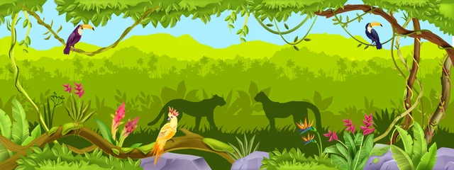 Gordijnen Jungle vector forest background, exotic nature wood thicket landscape, leopard, toucan, parrot, liana, rock. Amazon wildlife panoramic view, palm outline, animal silhouette. Paradise jungle background © Oleksandra