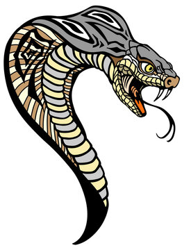 head of the cobra. A poisonous snake in a defensive position. Attacking posture. Tattoo style vector illustration