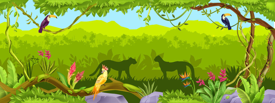 Jungle vector forest background, exotic nature wood thicket landscape, leopard, toucan, parrot, liana, rock. Amazon wildlife panoramic view, palm outline, animal silhouette. Paradise jungle background