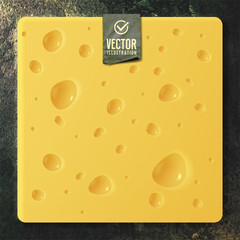 Piece of cheese on dark background