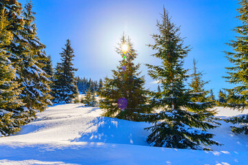 Amazing sunrise in Belmeken, Rila Mountains, Bulgaria