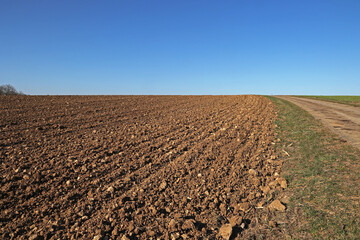 Spring landscape with arable land and meadows