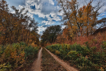 Fototapeta na wymiar Beautiful autumn landscape. The road with the clouds