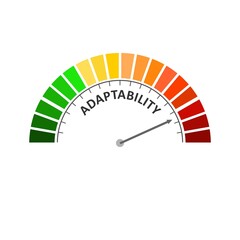 Concept of human adaptability , development of personal qualities