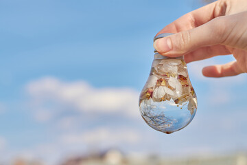 Hand holds a used light bulb filled with water and flowers. Close up on sky background. The lamp...